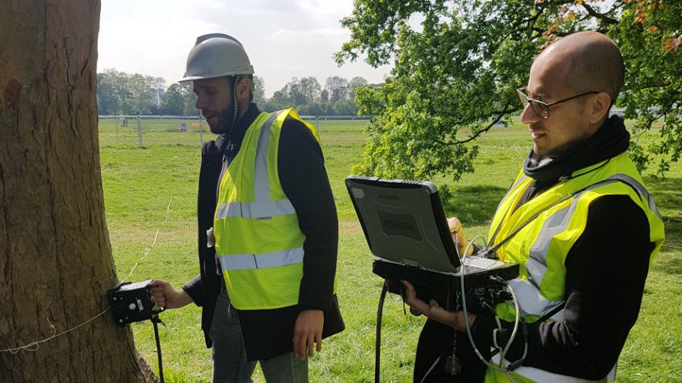 Two research from the Farringdon centre test a tree with specialist equipment