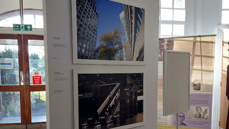 A range of student photography work at Brentford Library, as part of the 'Emerging' photography exhibition.