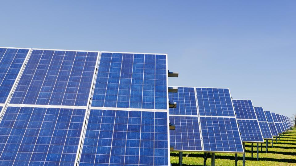 A row of blue solar panels are pictured on a green field and can be seen disappearing into the distance. The sky is clear blue.