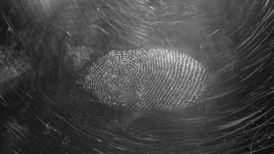 a fingerprint on a dark surface