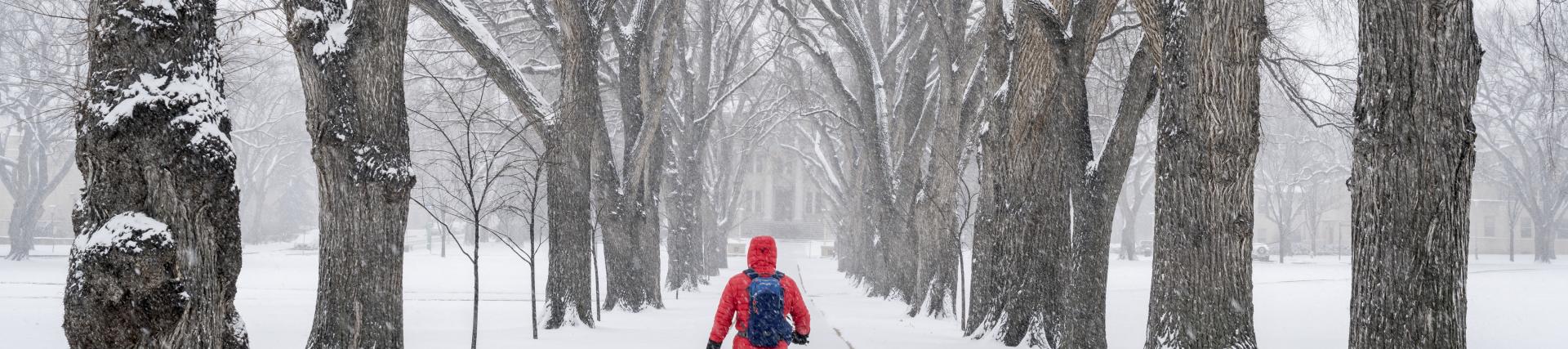 student walking through a snowy park